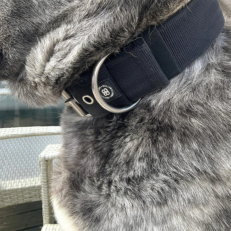 5cm Pin Buckle Collar | No Handle