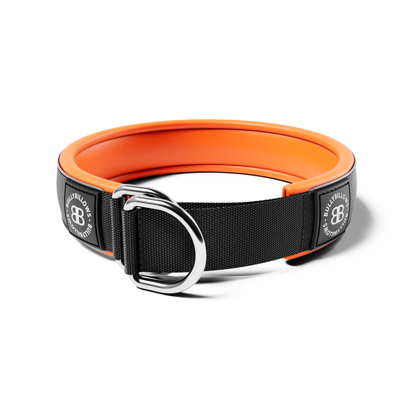 5cm Slip on Collar | Foam Padded - Black x Orange