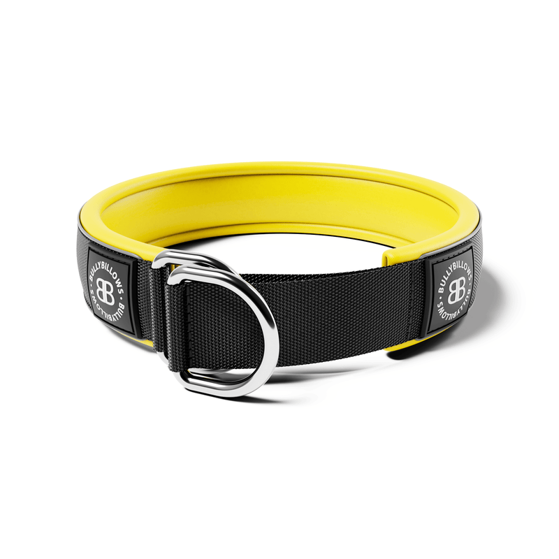 5cm Slip on Collar | Foam Padded - Black x Yellow