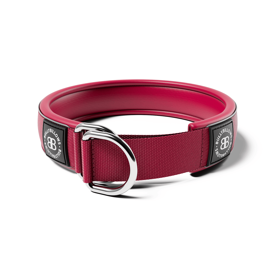 featured image of 5cm Slip on Collar | Foam Padded