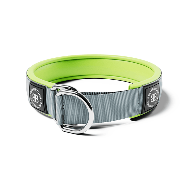 5cm Slip on Collar | Foam Padded - Metal Grey x Neon
