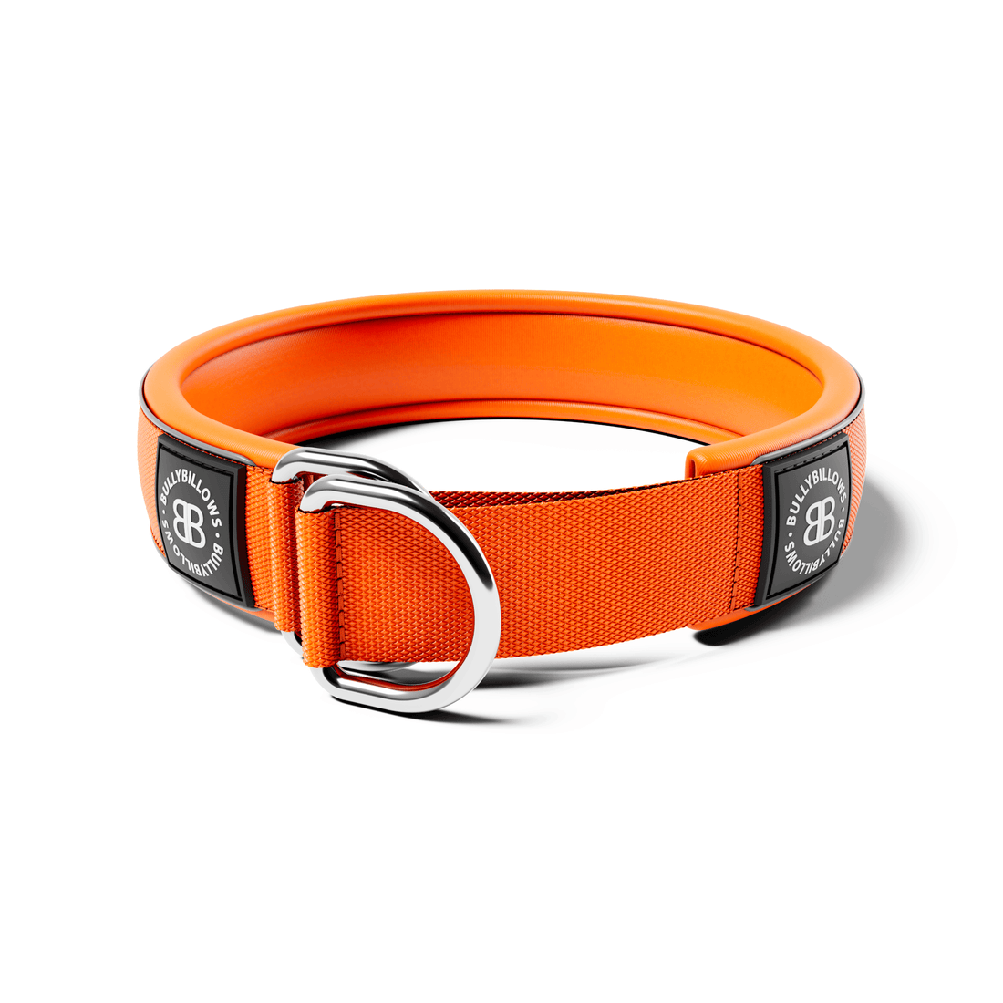 featured image of 5cm Slip on Collar | Foam Padded