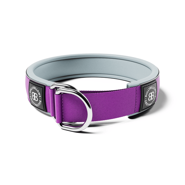 5cm Slip on Collar | Foam Padded - Purple x Metal Grey