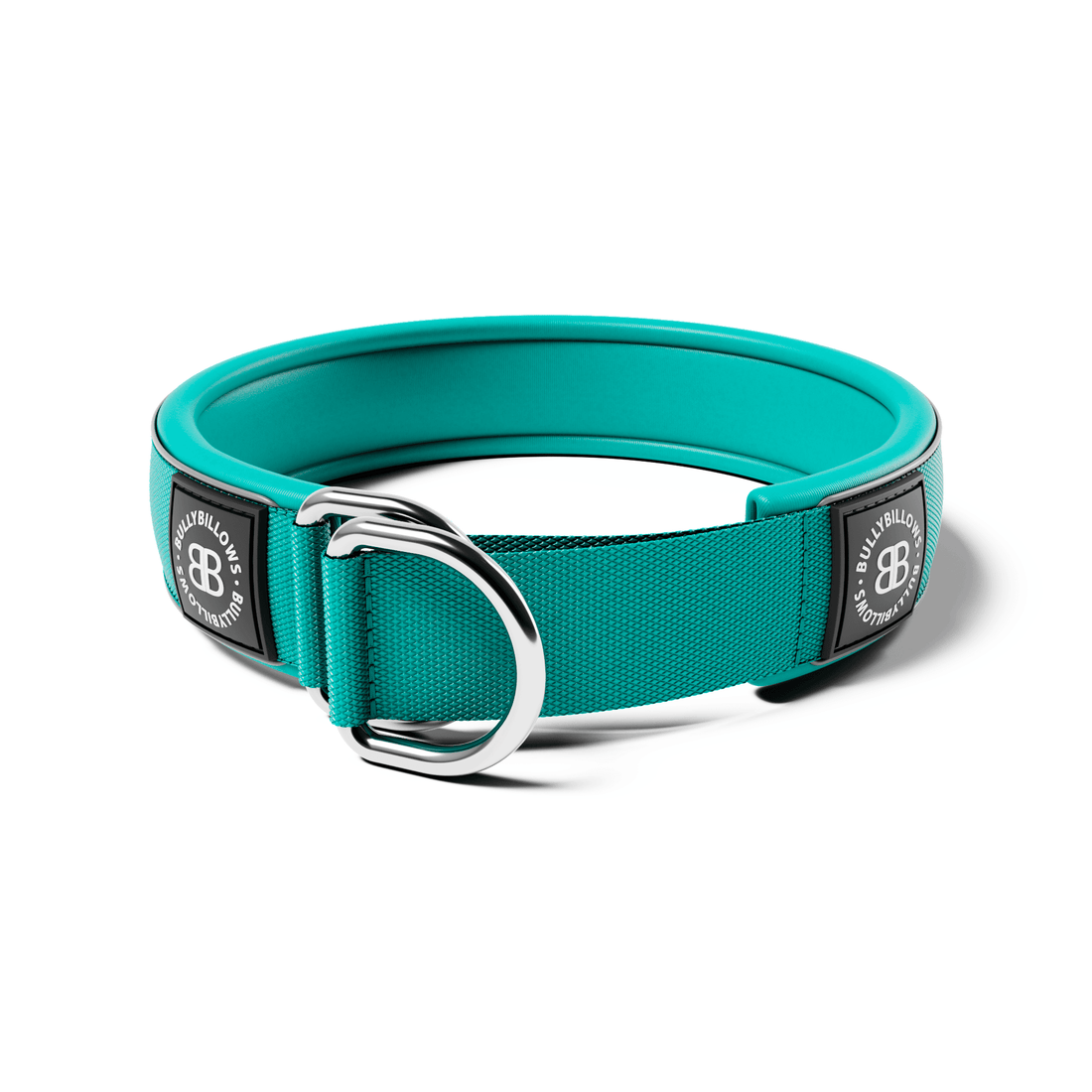 featured image of 5cm Slip on Collar | Foam Padded