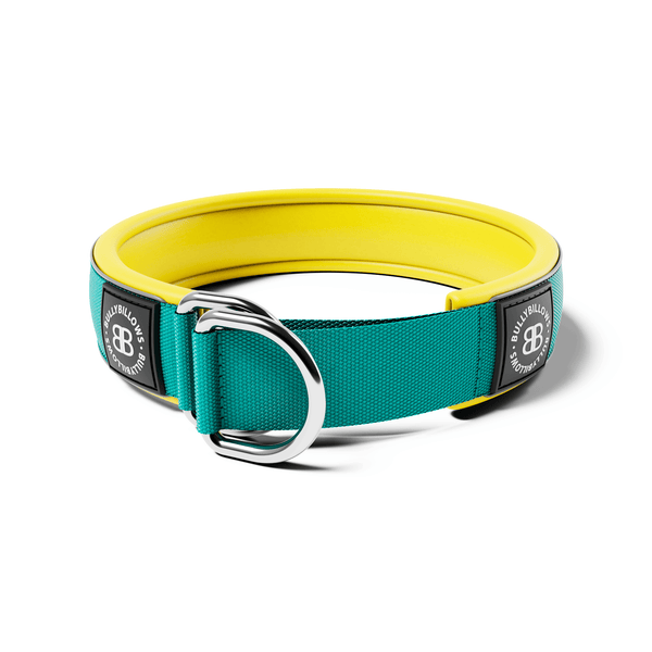 5cm Slip on Collar | Foam Padded - Turquoise x Yellow