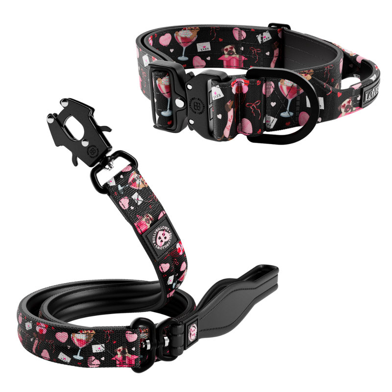 Power Love 5cm Collar & Lead Bundle - Black