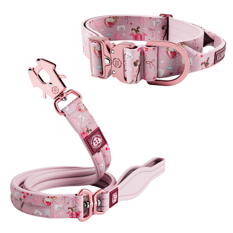 Power Love 5cm Collar & Lead Bundle - Pink