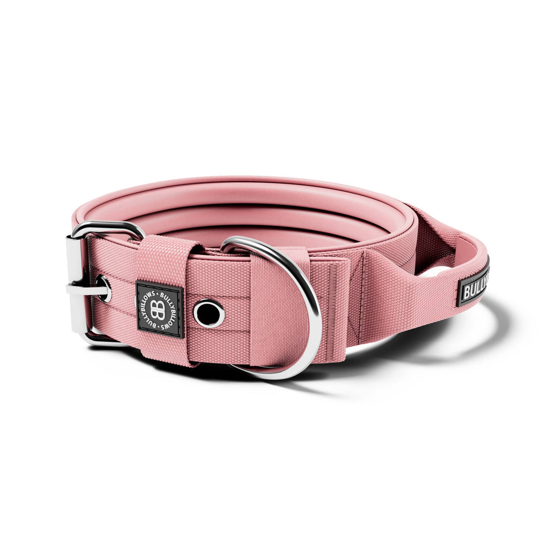 featured image of 5cm Pin Buckle Collar | With Handle