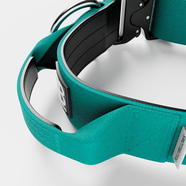 5cm Combat® Collar | With Handle & Secure Clip - Turquoise