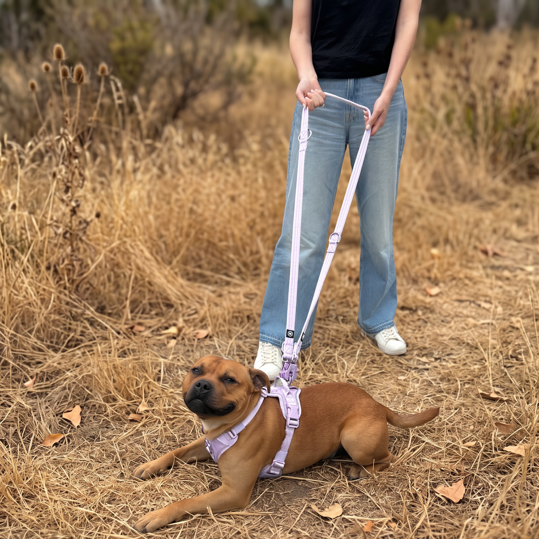 featured image of Lightweight Training Double Ended Dog Leash | 2m Length - Grey