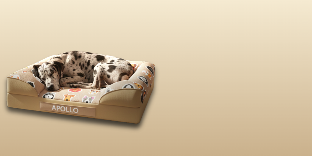 Dog on dog bed