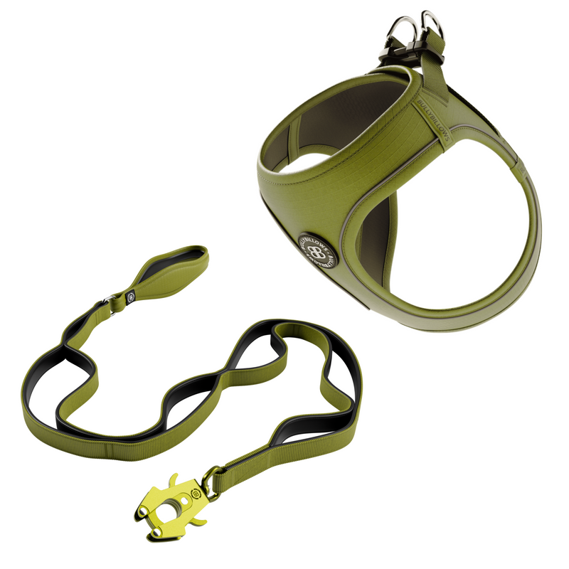 Step-in Harness &amp; Ladder Combat Lead Bundle - Olive Green
