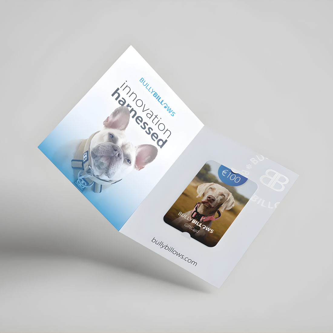 featured image of E-Gift Cards
