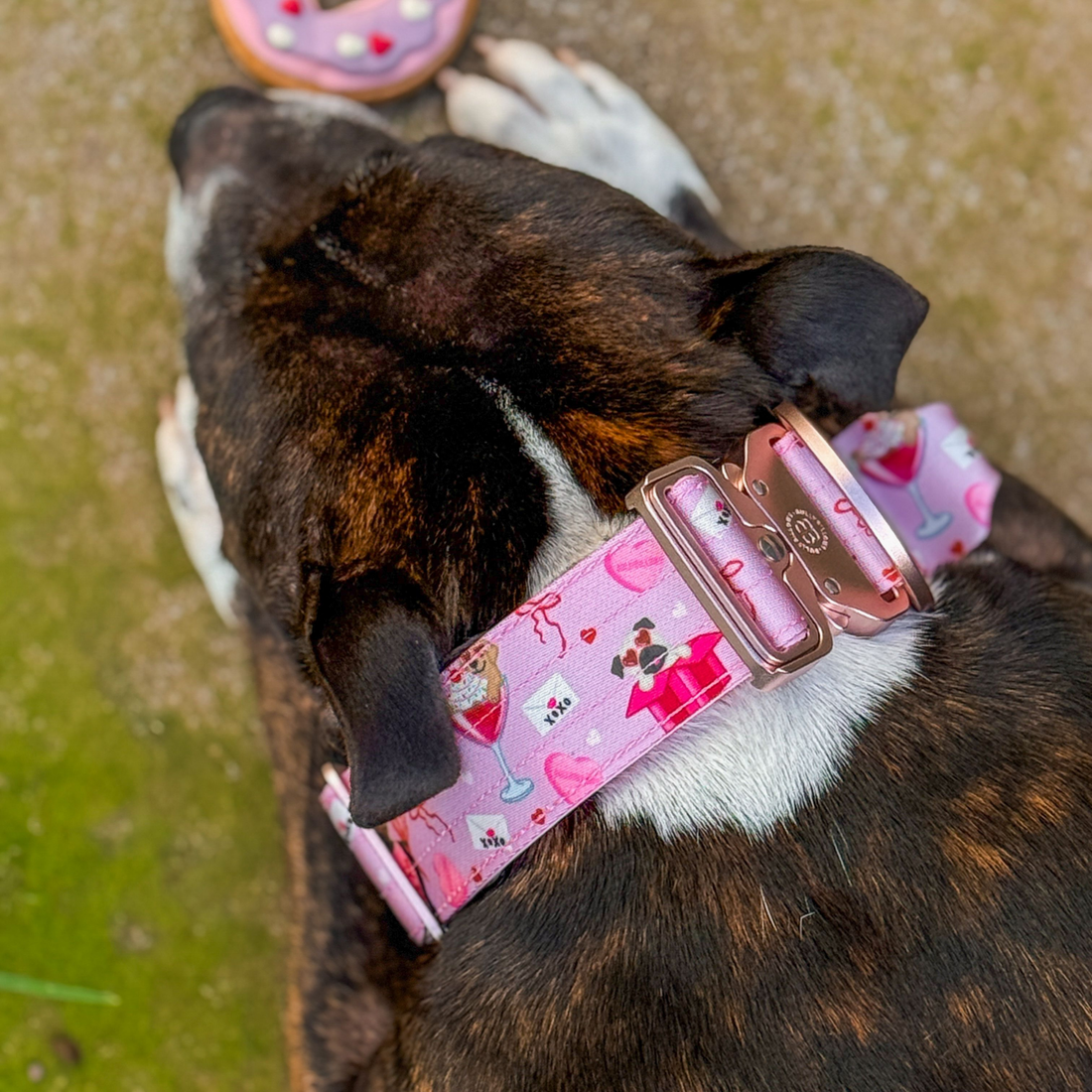 featured image of 2.5cm Lighter Combat® Collar | With Handle & Secure Clip - Light Love Edition