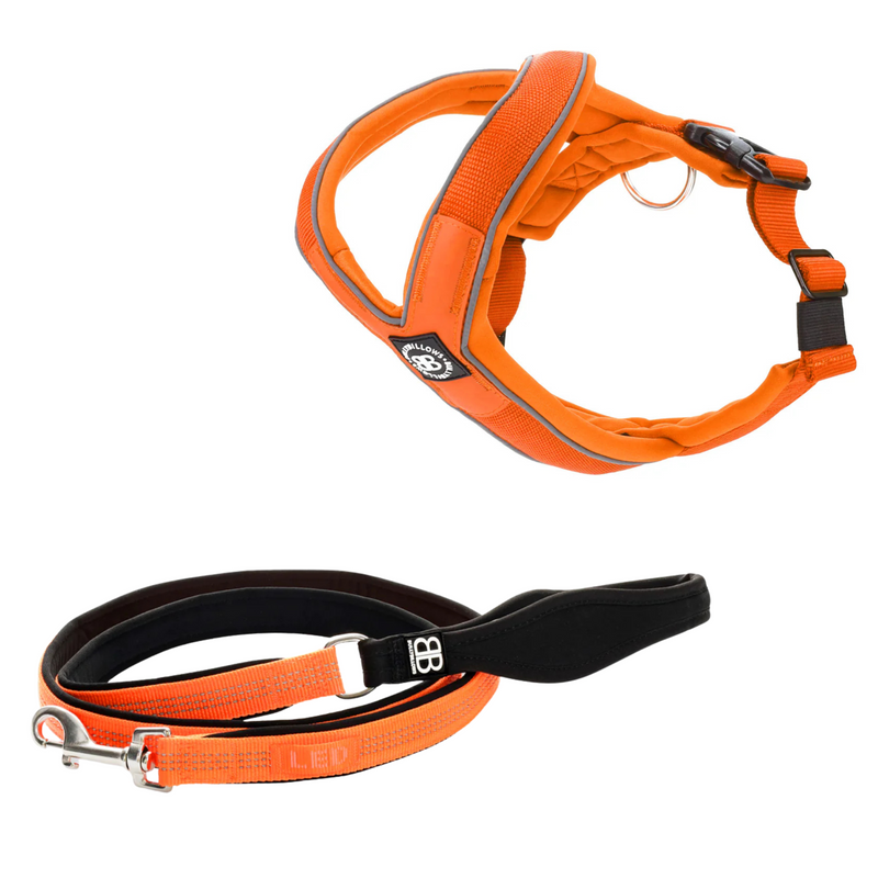 Slip-on Harness Active Lead Bundle – Orange – BullyBillows Europe