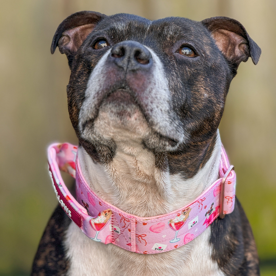 featured image of 2.5cm Lighter Combat® Collar | With Handle & Secure Clip - Light Love Edition