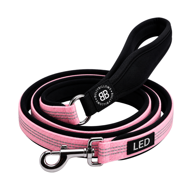 1.4m Active Light Leash - Pink