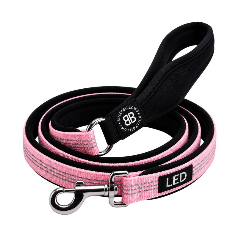 1.4m Active Light Leash - Pink