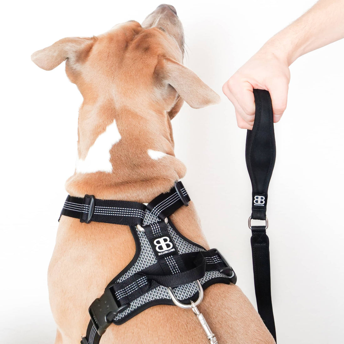 featured image of Active Harness | With Handle & Reflective - Grey