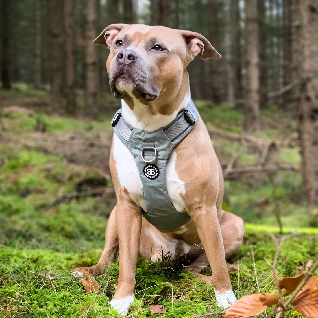 featured image of Air Harness | Anti-Pull & With Handle - Pink