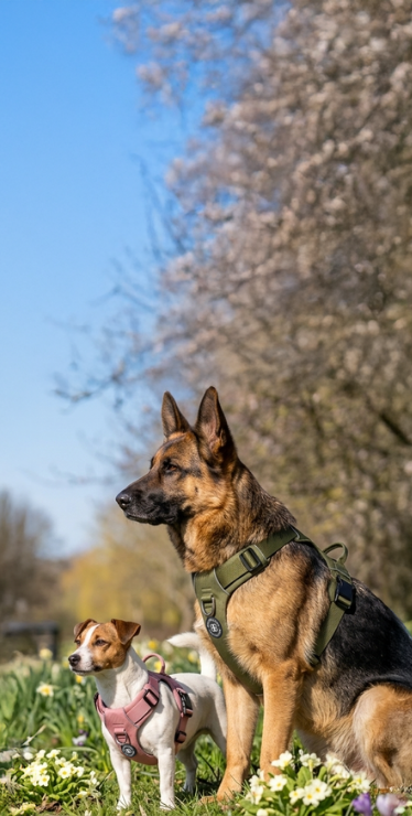 Comfort and Strength as Standard