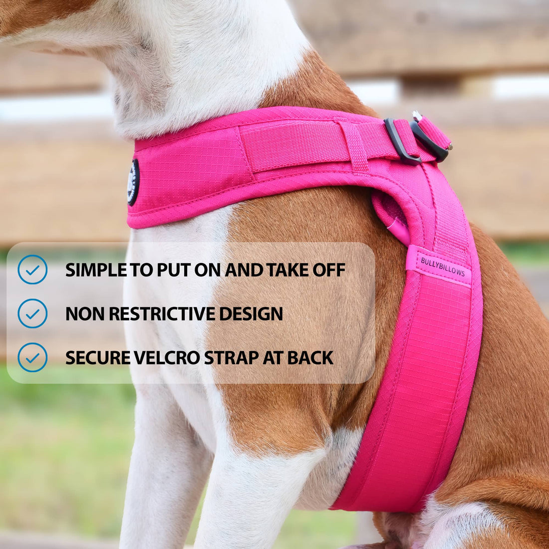 featured image of Boomerang Harness | XS-M Breeds - Grey