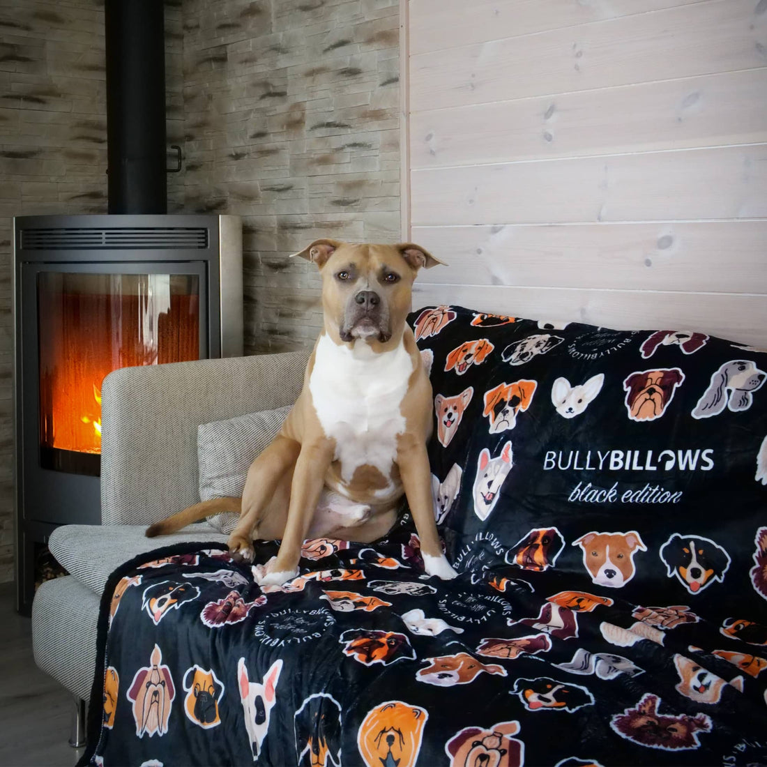 featured image of Black Edition Blanket