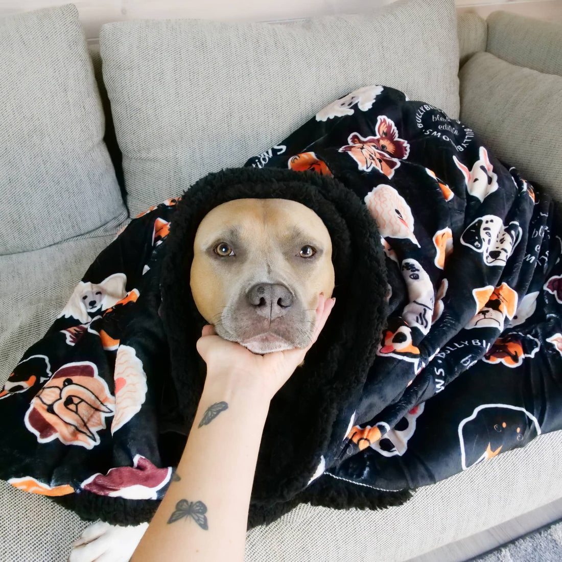 featured image of Black Edition Blanket