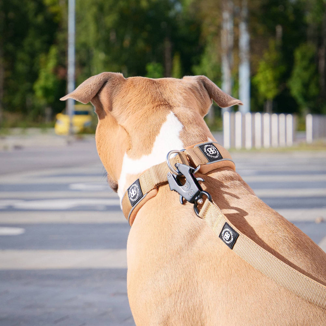 featured image of 1.2m Mini Combat® Lead - Khaki