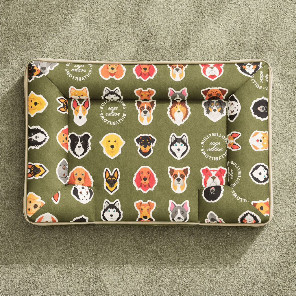 featured image of Luxury Dog Bed - Sage Edition | Add your dogs name