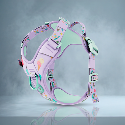 Why Our Harness Outperforms the Rest