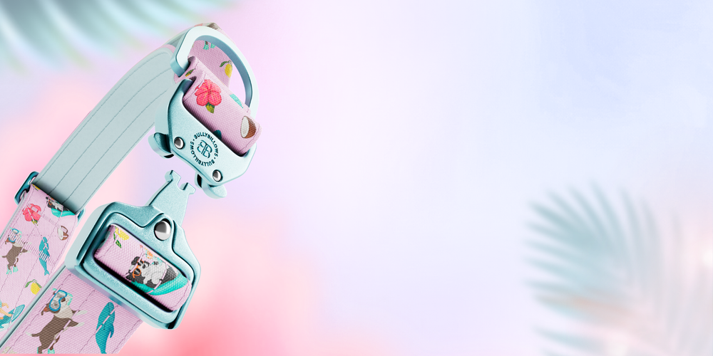 Pressure‑Free Control, Reimagined in Balmy Colours