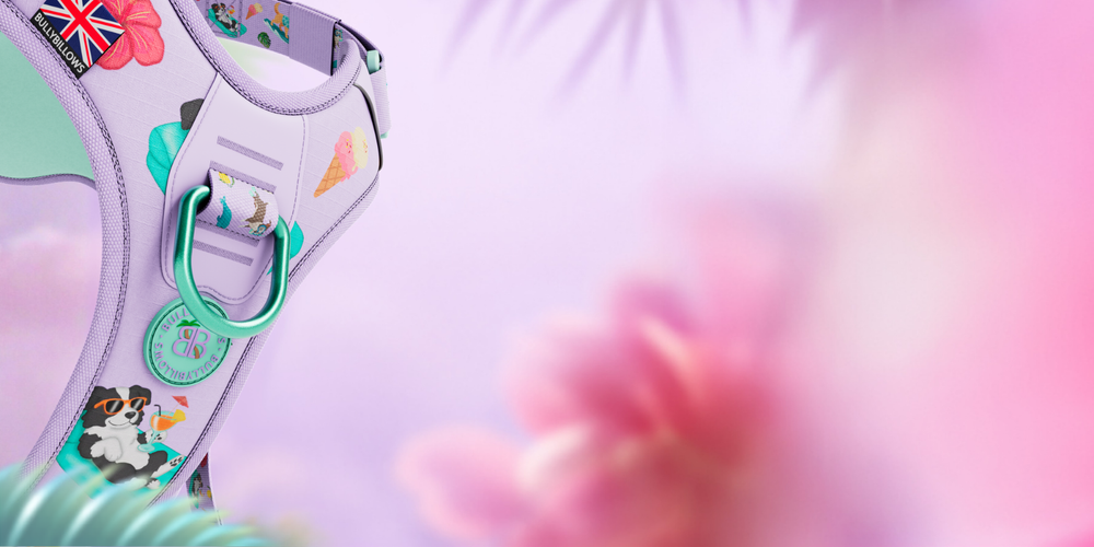 Pressure‑Free Control, Reimagined in Balmy Colours
