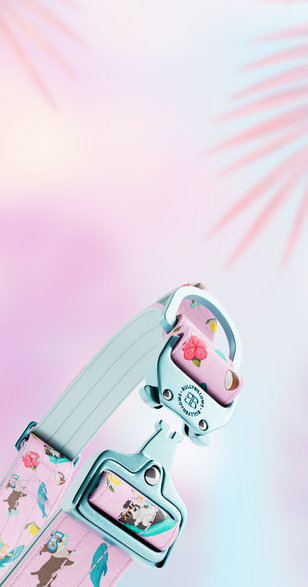 Pressure‑Free Control, Reimagined in Balmy Colours