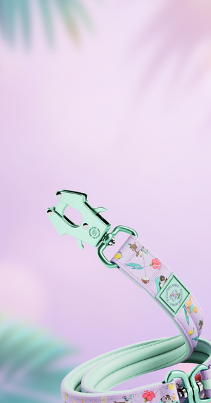 Pressure‑Free Control, Reimagined in Balmy Colours