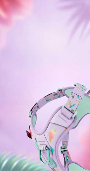 Pressure‑Free Control, Reimagined in Balmy Colours