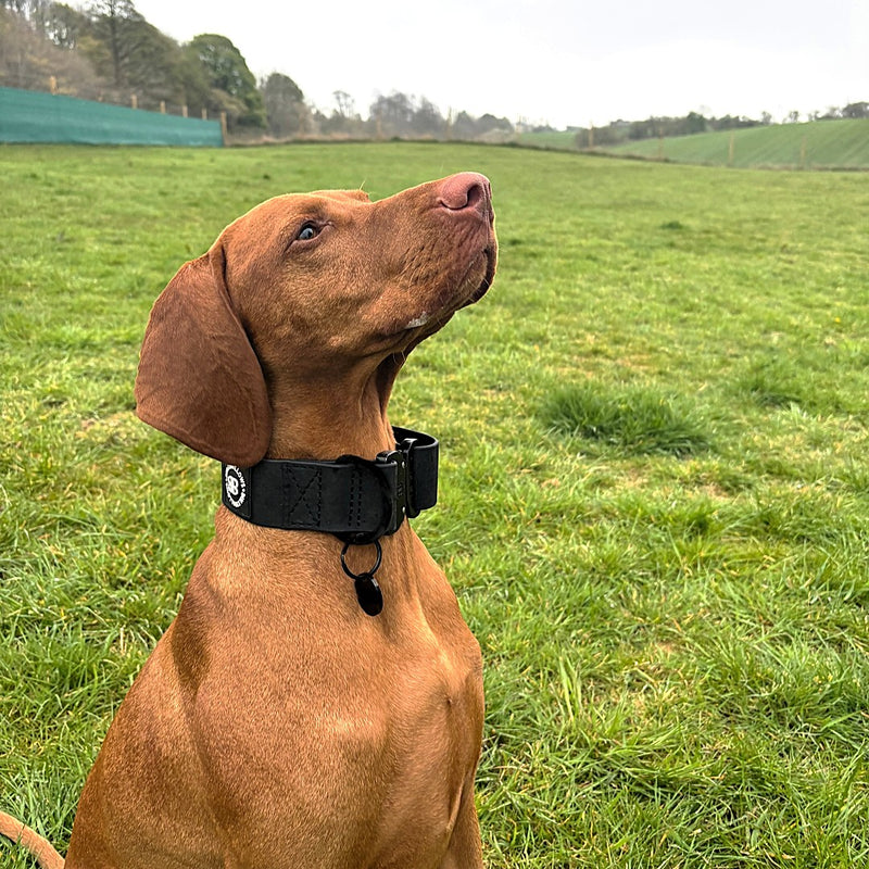 5cm Combat Billowthane® Collar | Waterproof - Black