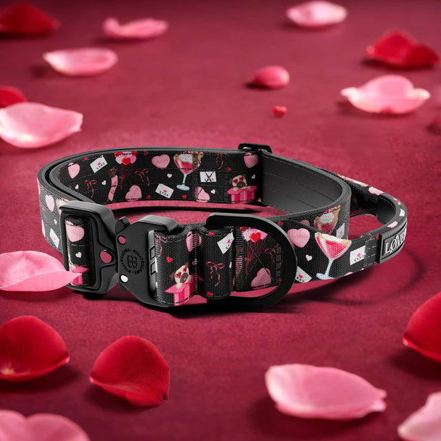 4cm Lighter Combat® Collar | With Handle & Secure Clip - Dark Love Edition