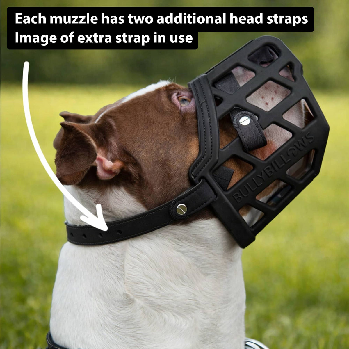 Premium Comfort Muzzle | x2 Additional Head Straps - Black ...