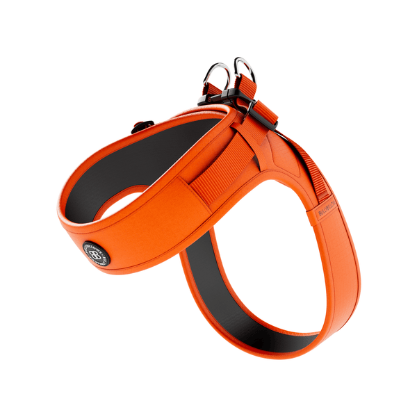 Boomerang Harness - XS-M Breeds - Orange