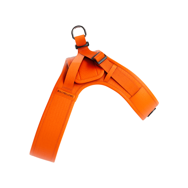 Boomerang Harness - XS-M Breeds - Orange