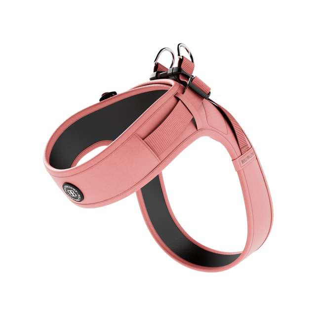 Boomerang Harness | XS-M Breeds - Pink