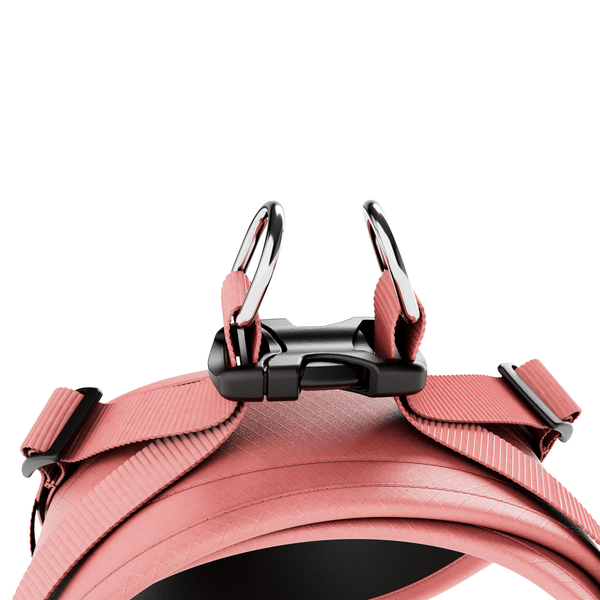 Boomerang Harness - XS-M Breeds - Pink