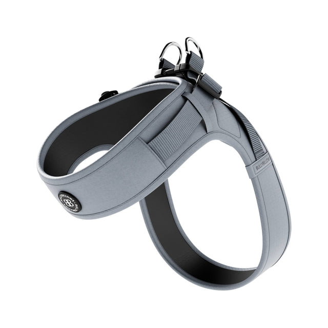 Boomerang Harness | XS-M Breeds - Grey
