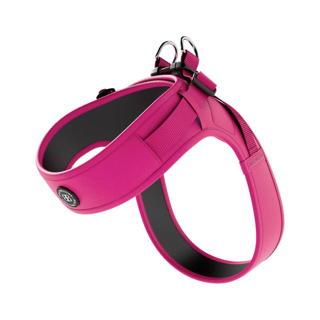 Boomerang Harness | XS-M Breeds - Carminerose