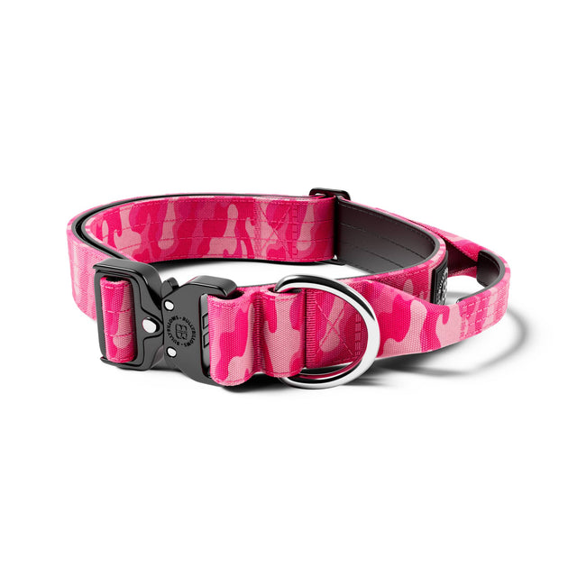 4cm Combat® Collar | With Handle & Secure Clip - Bubblegum