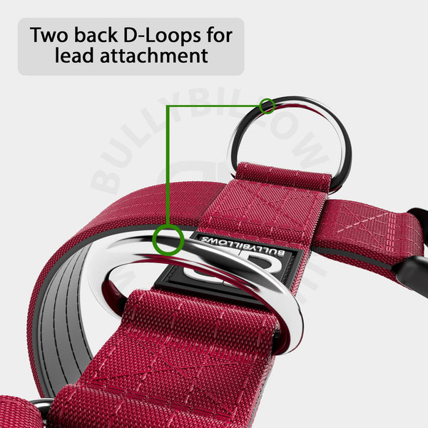 Training Anti Pull TRI-Harness® | M-XL Breeds - Burgundy