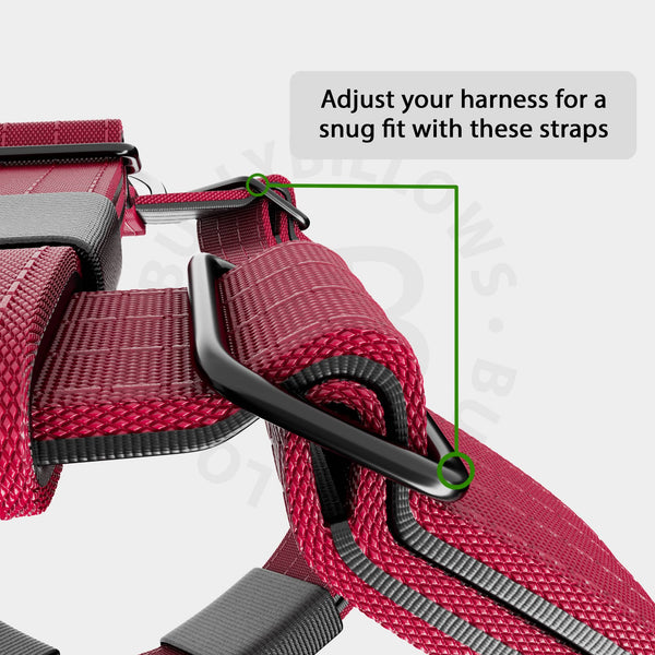 Training Anti Pull TRI-Harness® | M-XL Breeds - Burgundy