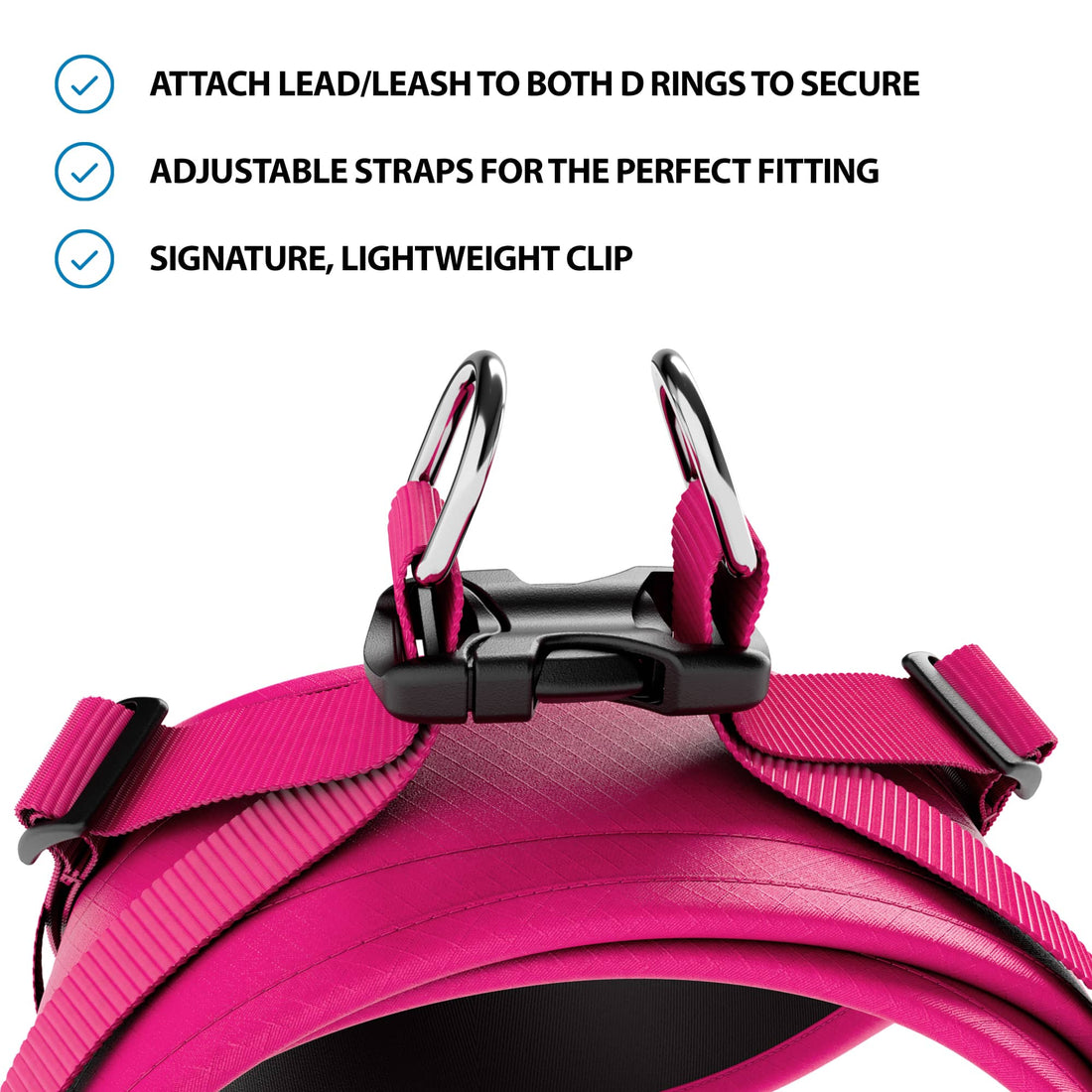 featured image of Boomerang Harness | XS-M Breeds - Carminerose