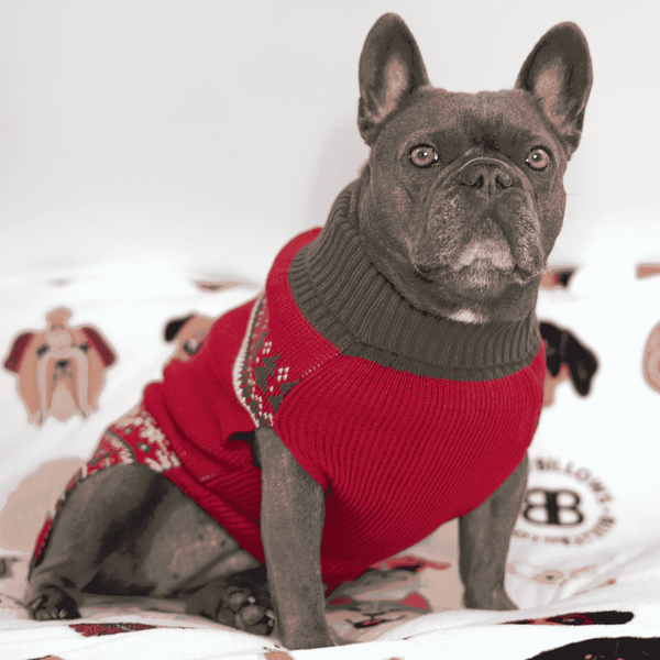 Christmas Dog Fleece
